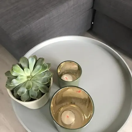 Blossombed Panzió Voorhout