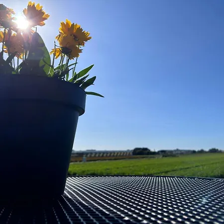 Bed & Breakfast Blossombed Voorhout