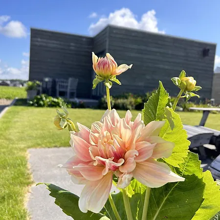 住宿加早餐酒店 Blossombed Voorhout