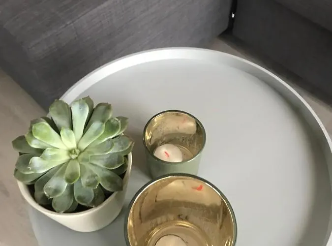 Blossombed Bed & Breakfast Voorhout