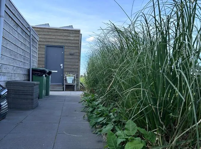 Blossombed Bed & Breakfast Voorhout