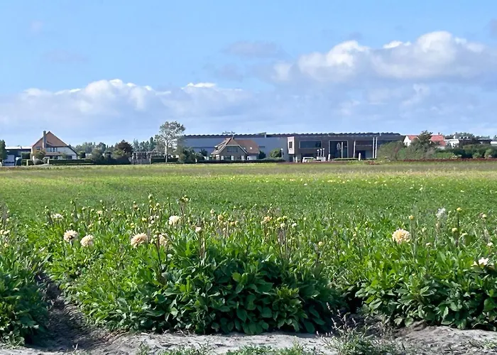 Bed & Breakfast Blossombed