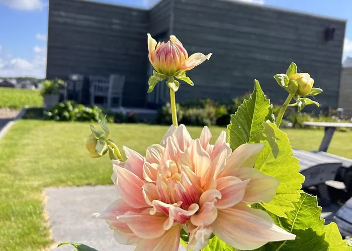 Bed & Breakfast Blossombed Voorhout