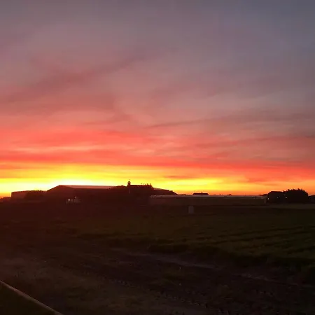 Blossombed 3* Voorhout