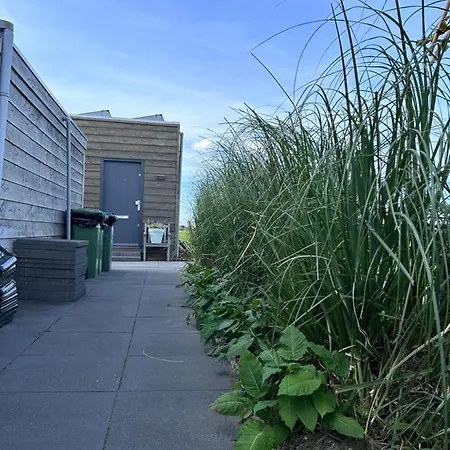 Blossombed Bed and Breakfast Voorhout