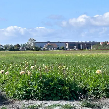 לינה וארוחת בוקר Blossombed