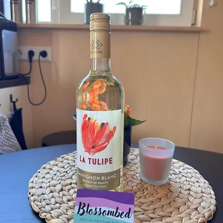 Blossombed Отель типа 