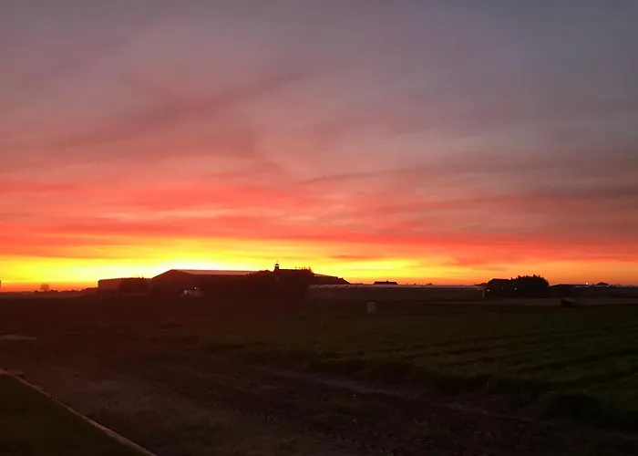 Blossombed 3* Voorhout