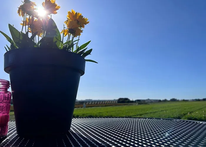 לינה וארוחת בוקר Blossombed Voorhout